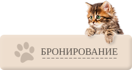 Бронирование
